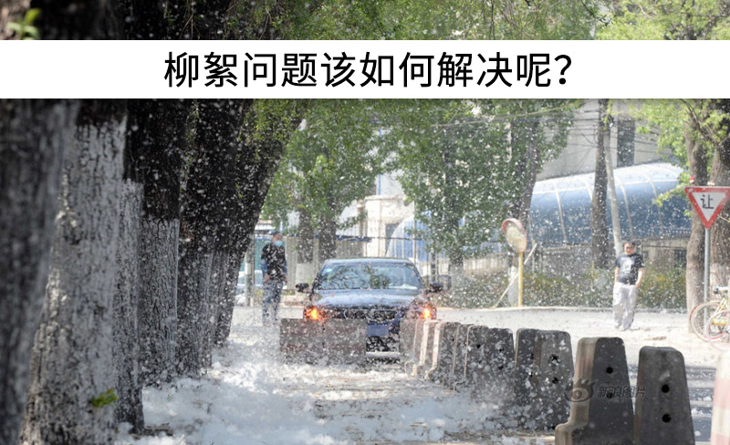 遇到“柳絮”不慌!這樣做,節(jié)能維修費(fèi)用